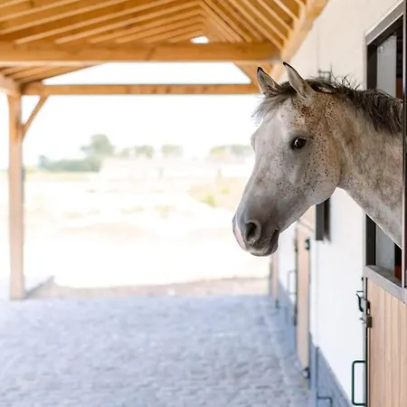 Huswell - Quick - Lovely Double At Ranch De Blauwe Zaal